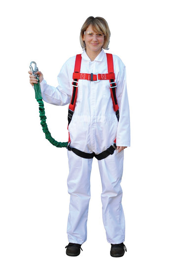 Large Harness W/ Lanyard